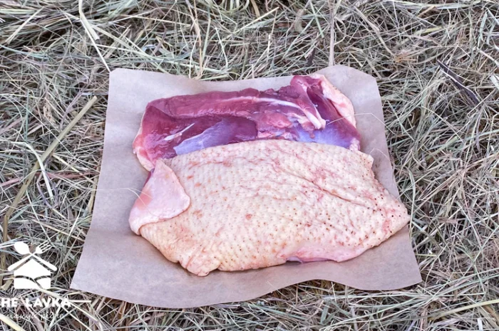 Продажа филе гусиной грудки, гусятина- фото № 1