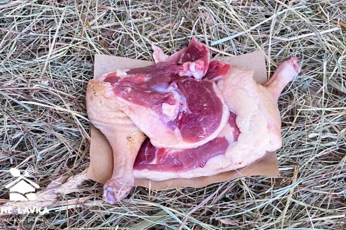 Продажа гусиной ножки, гусятина- фото № 1