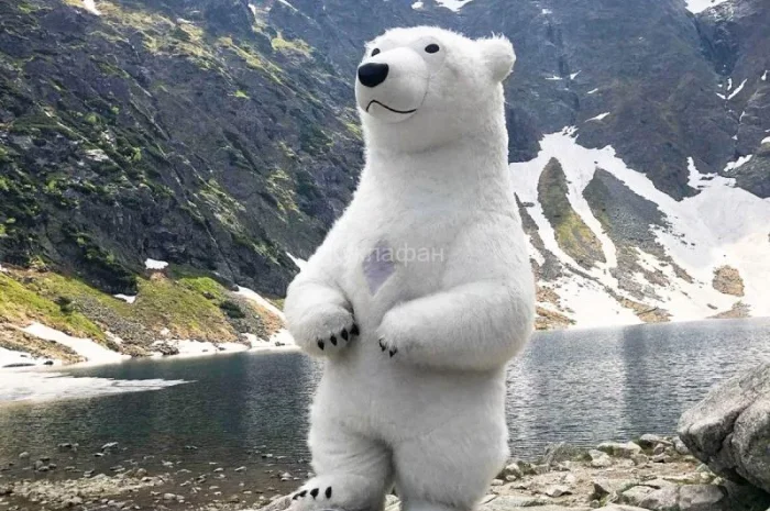 Надувной костюм «Белый Медведь» от производителя- фото № 4