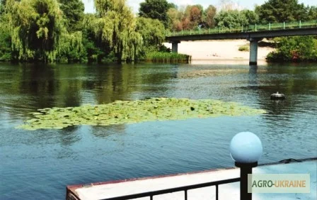 Срочная продажа! Санаторий на берегу Днепра, 10 км от Черкасс, 62 га- фото № 9