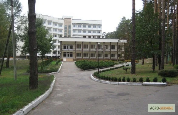 Срочная продажа! Санаторий на берегу Днепра, 10 км от Черкасс, 62 га- фото № 4