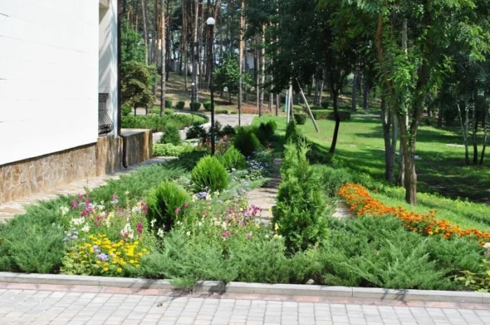 Срочная продажа! Санаторий на берегу Днепра, 10 км от Черкасс, 62 га- фото № 13