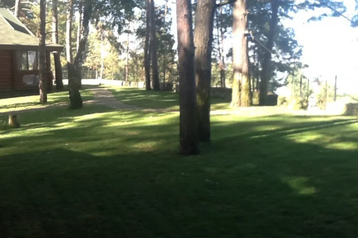 Продается VIP коттедж с евроремонтом на берегу Днепра с собственным пляжем- фото № 9