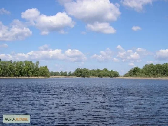 Продается VIP коттедж с евроремонтом на берегу Днепра с собственным пляжем- фото № 6