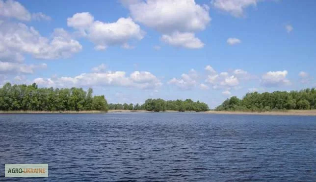 Продается VIP коттедж с евроремонтом на берегу Днепра с собственным пляжем- фото № 5