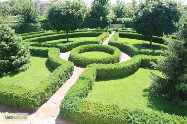 Элитное домовладение с бассейном и сауной в г. Черкассы- фото № 6