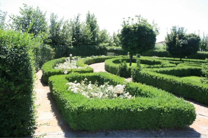 Элитное домовладение с бассейном и сауной в г. Черкассы- фото № 12