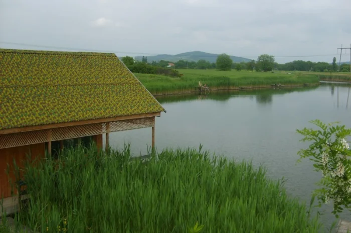 Продается уникальный VIP объект Озеро "Рай" в г. Берегово Закарпатская обл.- фото № 2