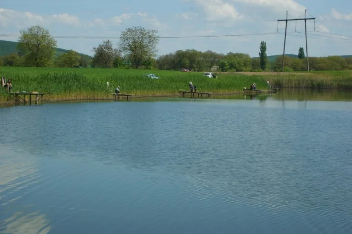 Продается уникальный VIP объект Озеро "Рай" в г. Берегово Закарпатская обл.- фото № 7