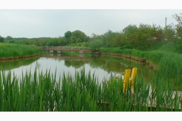 Продается уникальный VIP объект Озеро "Рай" в г. Берегово Закарпатская обл.- фото № 9