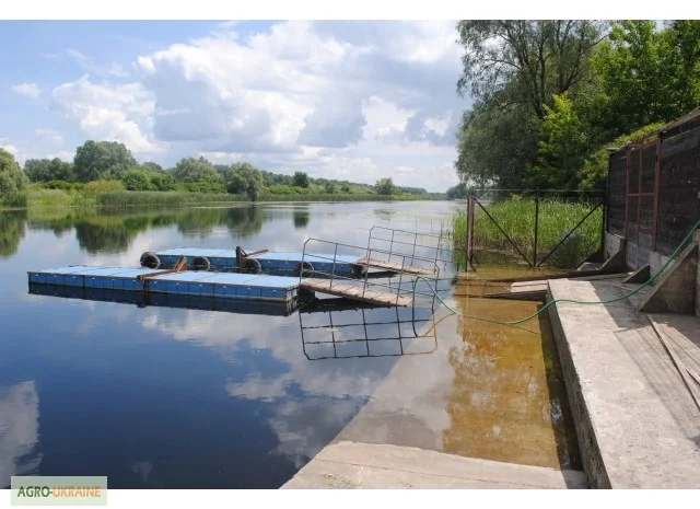 Элитный особняк с потрясающим видом на Днепр и Рось- фото № 14