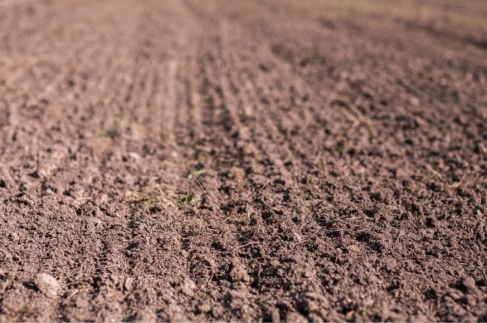 Продажа агрокомпании: 1300 га в Ровенской области- фото № 1