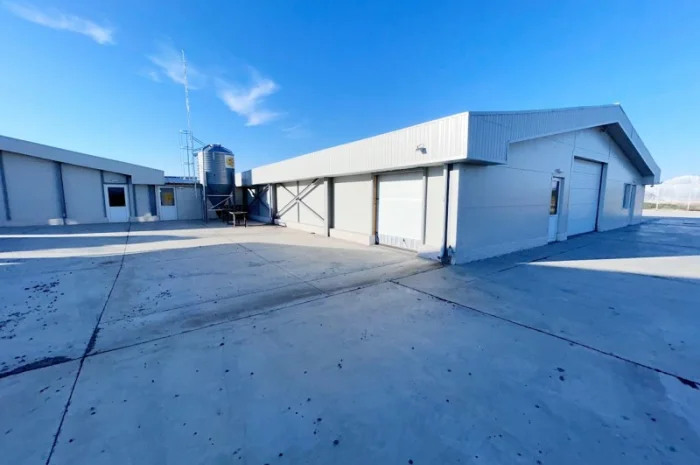 Свиноферма на 1400 голов в Румынии- фото № 1