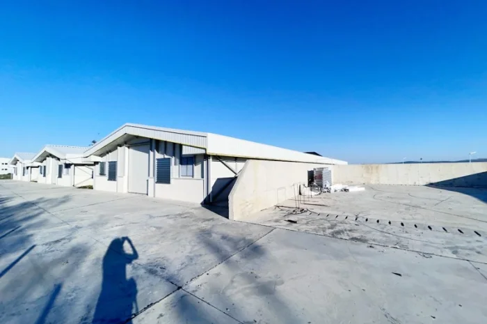 Свиноферма на 1400 голов в Румынии- фото № 2