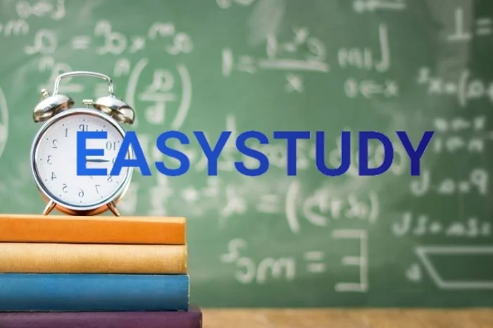 Заказать магистерскую работу- фото № 1