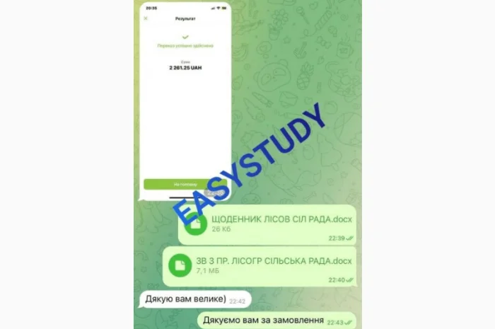 Заказ студенческой работы с гарантией качества- фото № 11