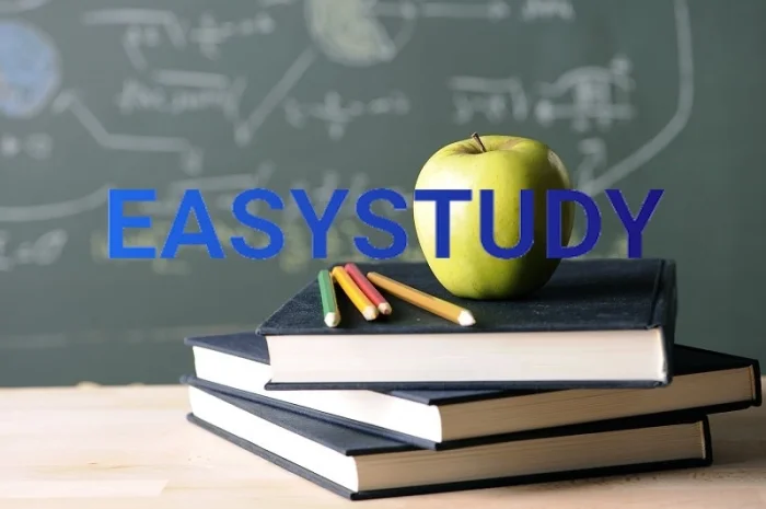 Написание магистерских работ на заказ- фото № 1