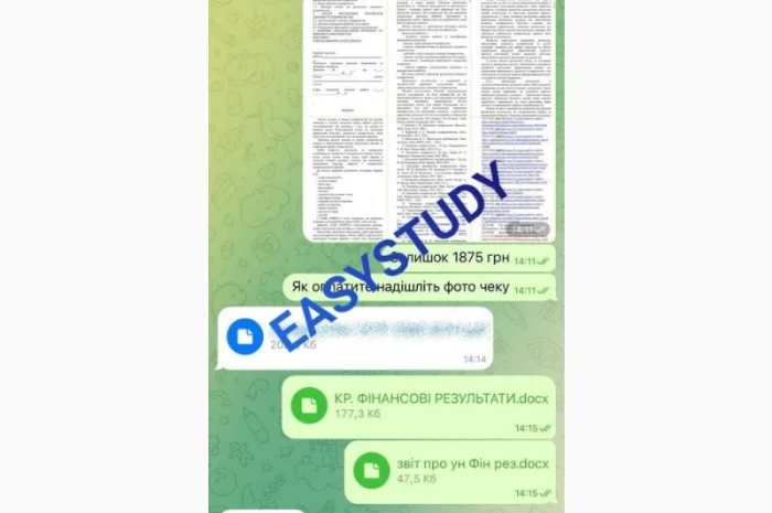 Написание бакалаврской работы с гарантией качества- фото № 5