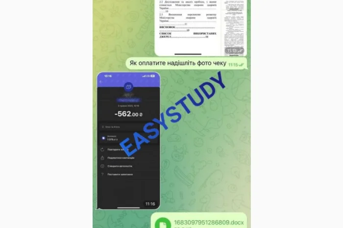 Написання есе на замовлення- фото № 15