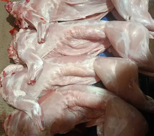 Продается диетическое мясо кролика- фото № 1