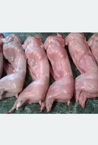 Свежие кролики на продажу- фото № 1