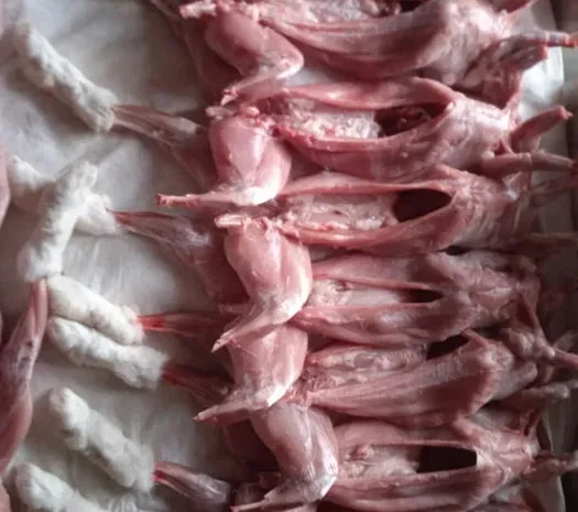 Продажа мяса кролика весом 1,5–1,7 кг- фото № 1