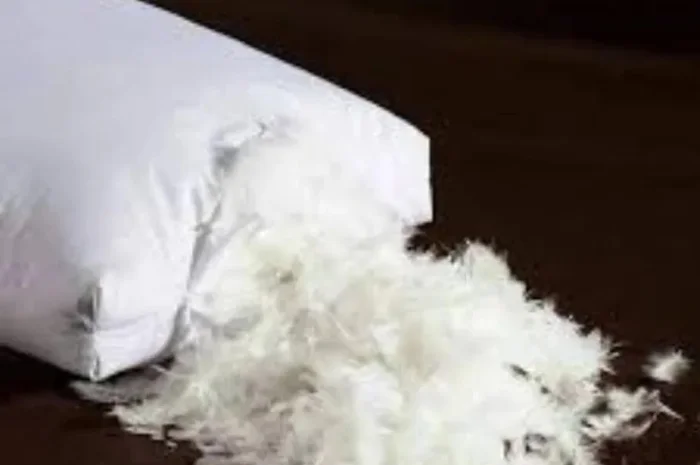 Закупка пуха и пера: старые подушки, выезд по адресу- фото № 1