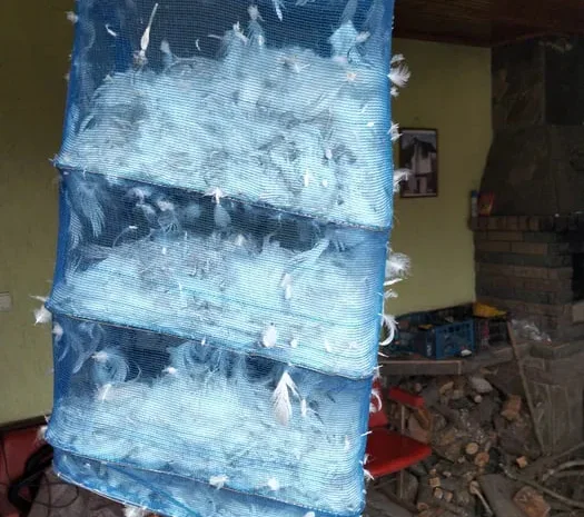 Продаж білого пуху гусей породи Датський Легарт з доставкою- фото № 1