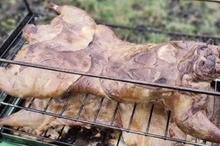 Продам мясо нутрии свежее и копченое- фото № 1