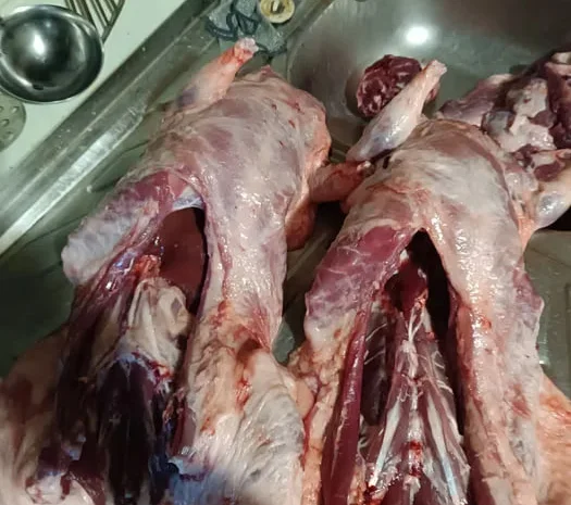 Продам мясо нутрии молодое, натуральное- фото № 1