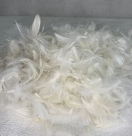 Купуємо пух та перо на постійній основі- фото № 2