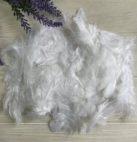 Куплю пух и перья от подушек- фото № 1