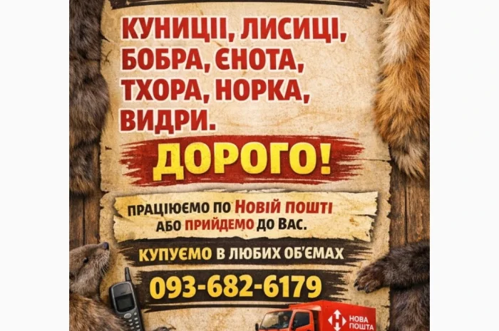 Куплю мех куницы и другое- фото № 1