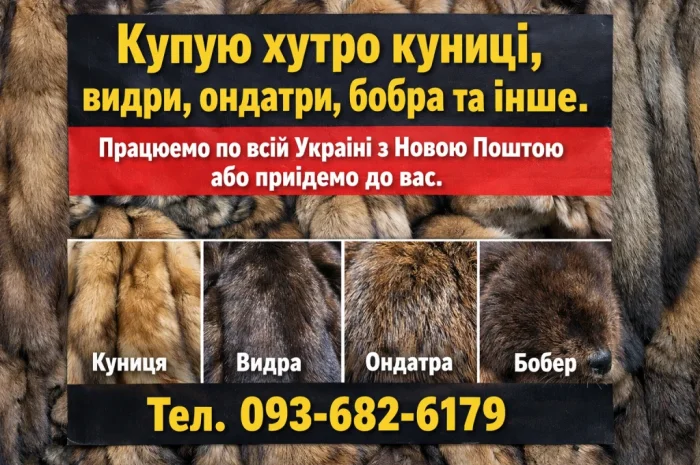 Куплю хутро Андатра та інші- фото № 1