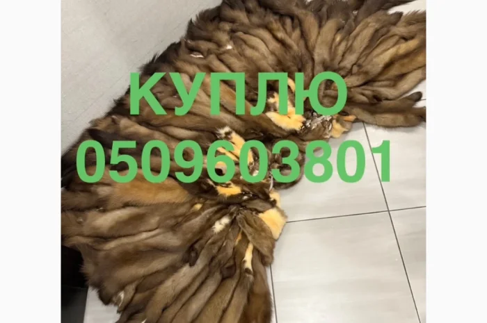 Куплю шкури по выгодным ценам- фото № 1