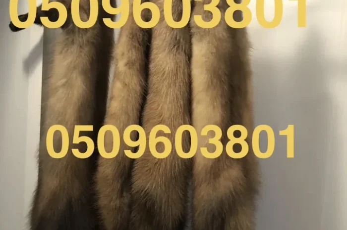 Купую шкурки куниць та іншу хутрову сировину в Харкові- фото № 1