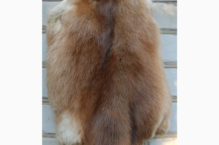 Продается мех лисицы- фото № 11