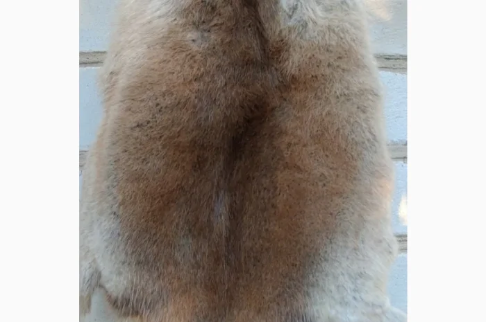 Продается мех лисицы- фото № 2