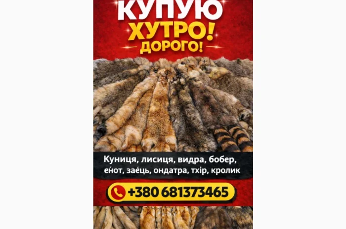 Купую шкури куниці, видри та лисиці- фото № 1