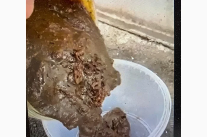 Фуз олиственный в продаже- фото № 1