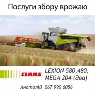Пропонуємо послуги по збору врожаю зернових культур- фото № 1