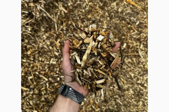 Щіпа з хвойних та листяних порід дерев- фото № 4