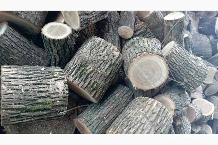 Колотые дрова дуба, ясеня и акации в продаже- фото № 3