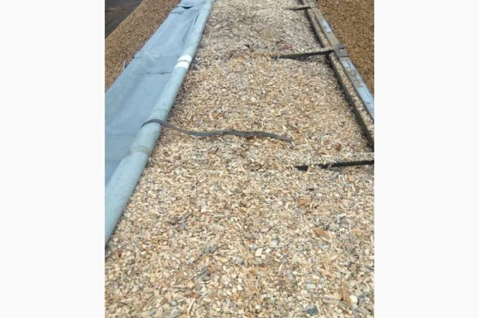 Щепа дерев'яна соснова, фракція 40+- фото № 1
