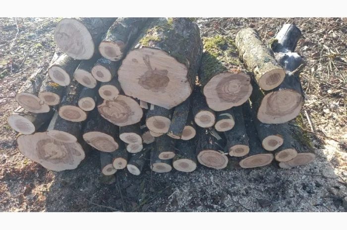 Дрова яблуні для опалення та мангала- фото № 1