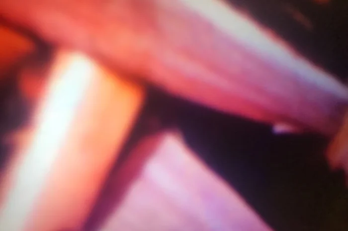 Колотые дубовые дрова с доставкой по Харькову и окрестностям- фото № 2