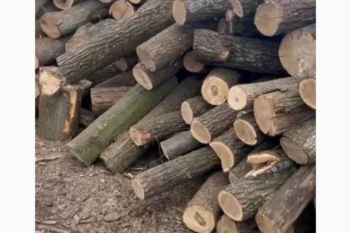 Дрова у Луцьку – продаж та доставка якісних дров- фото № 1