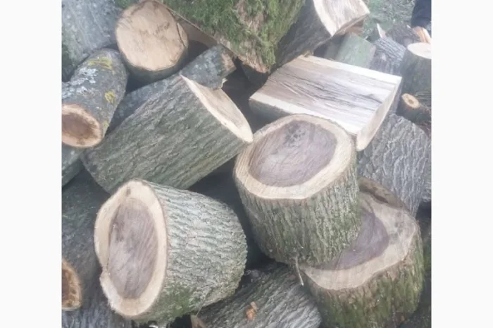 Дубовые дрова с доставкой в Луцк и Луцкий район- фото № 1