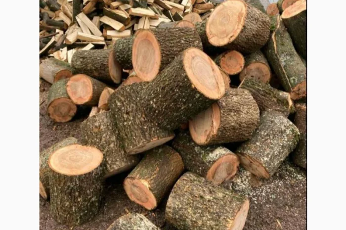 Продажа дубовых дров в Луцке- фото № 1