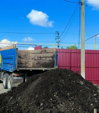 Продажа дров: дуб, береза, сосна- фото № 3